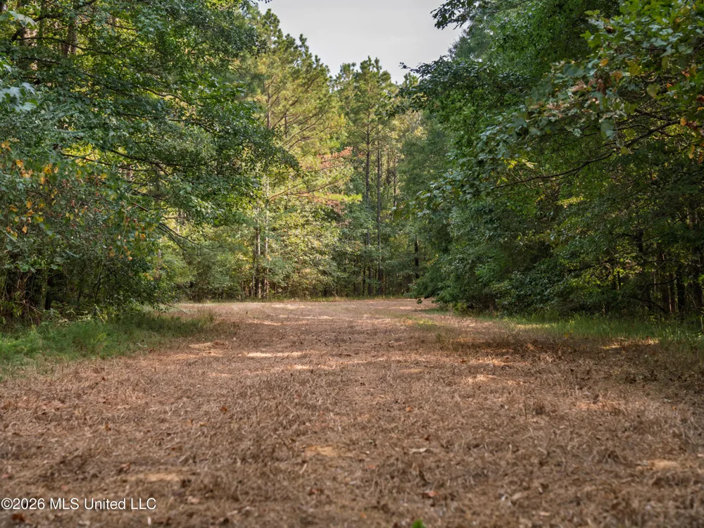 884 Truitt Road Pickens, MS 39146