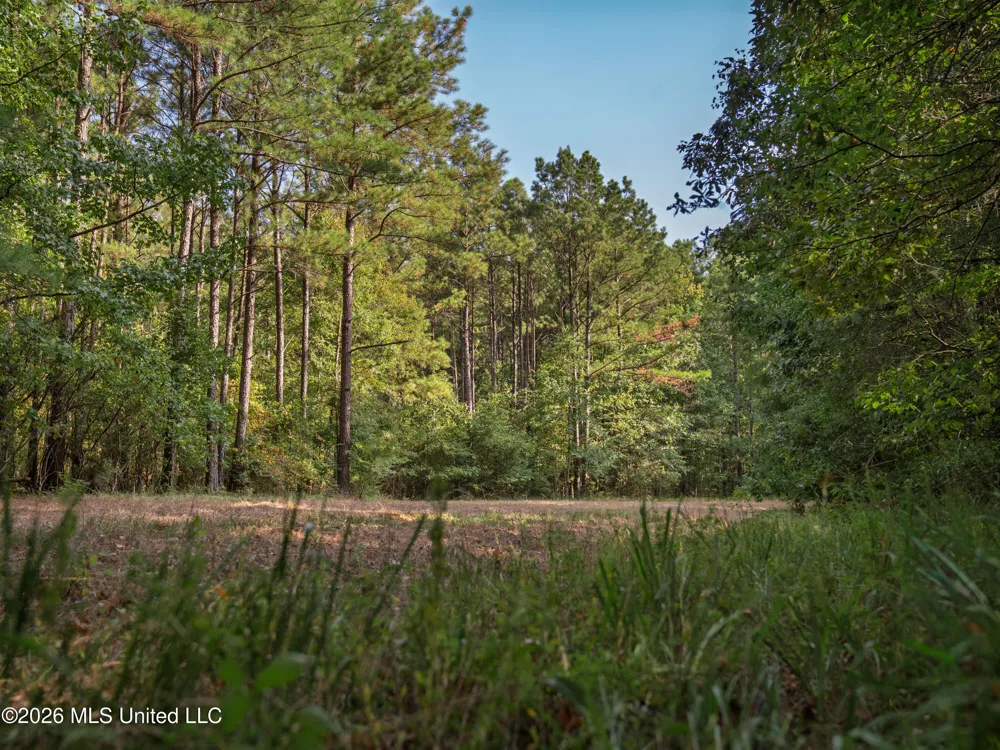 884 Truitt Road Pickens, MS 39146