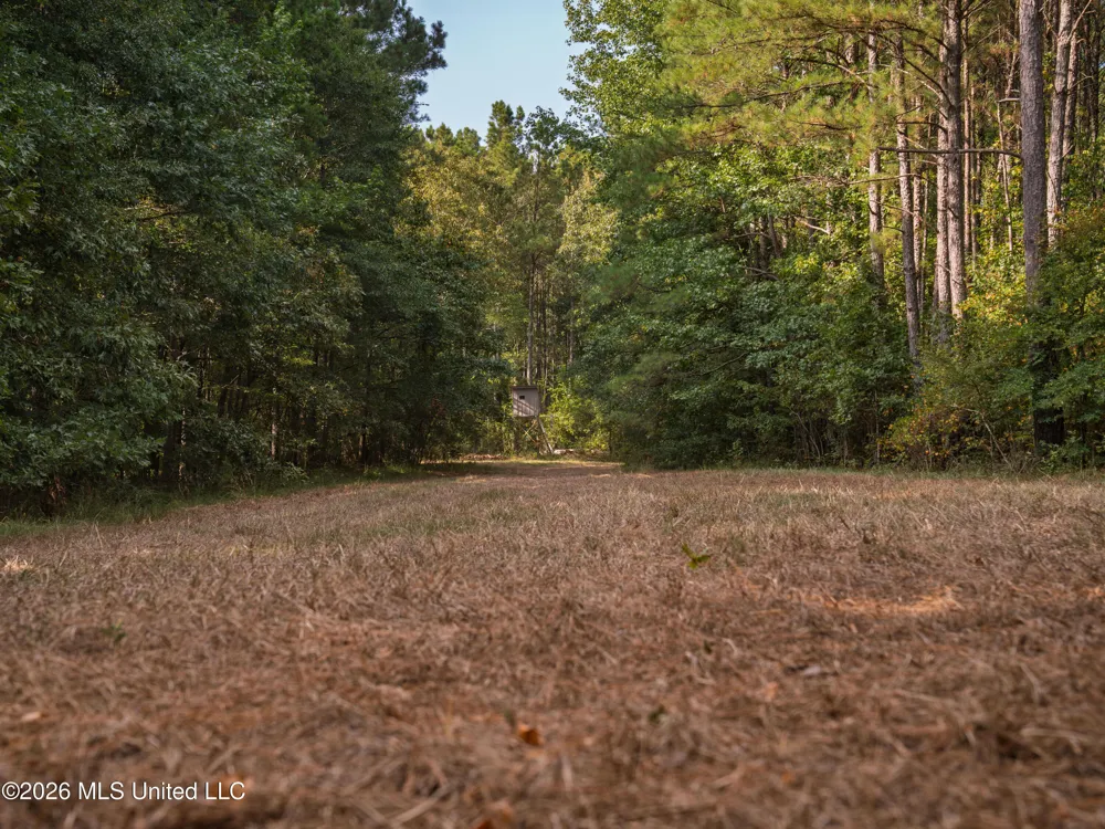 884 Truitt Road Pickens, MS 39146