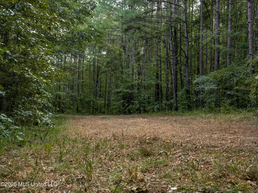 884 Truitt Road Pickens, MS 39146