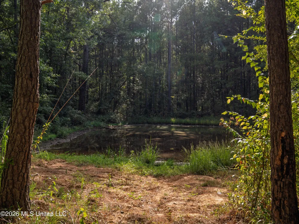 884 Truitt Road Pickens, MS 39146