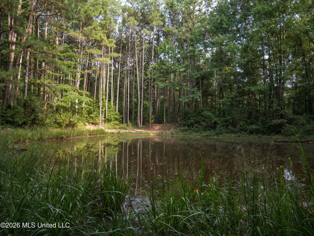 884 Truitt Road Pickens, MS 39146