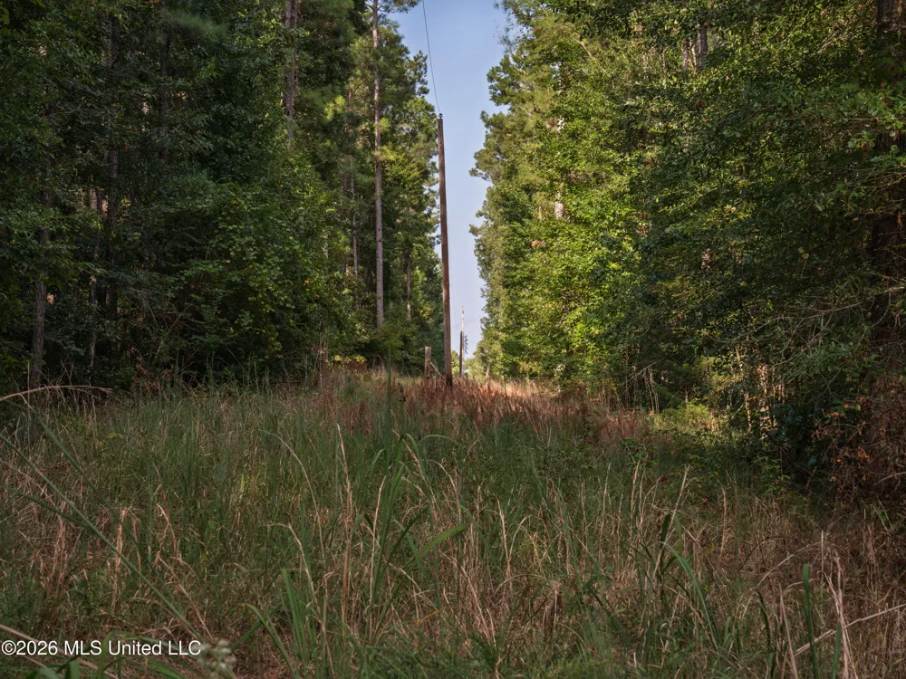 884 Truitt Road Pickens, MS 39146