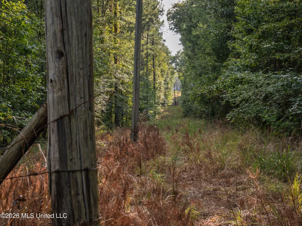 884 Truitt Road Pickens, MS 39146