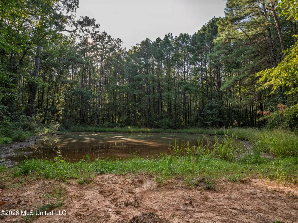 884 Truitt Road Pickens, MS 39146