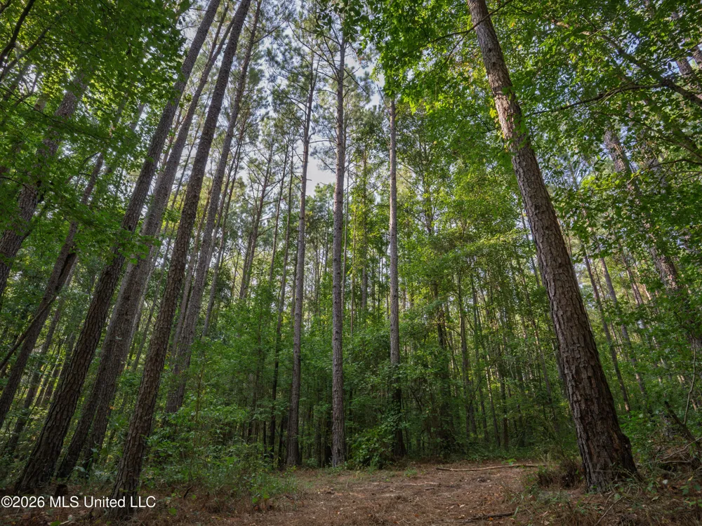 884 Truitt Road Pickens, MS 39146