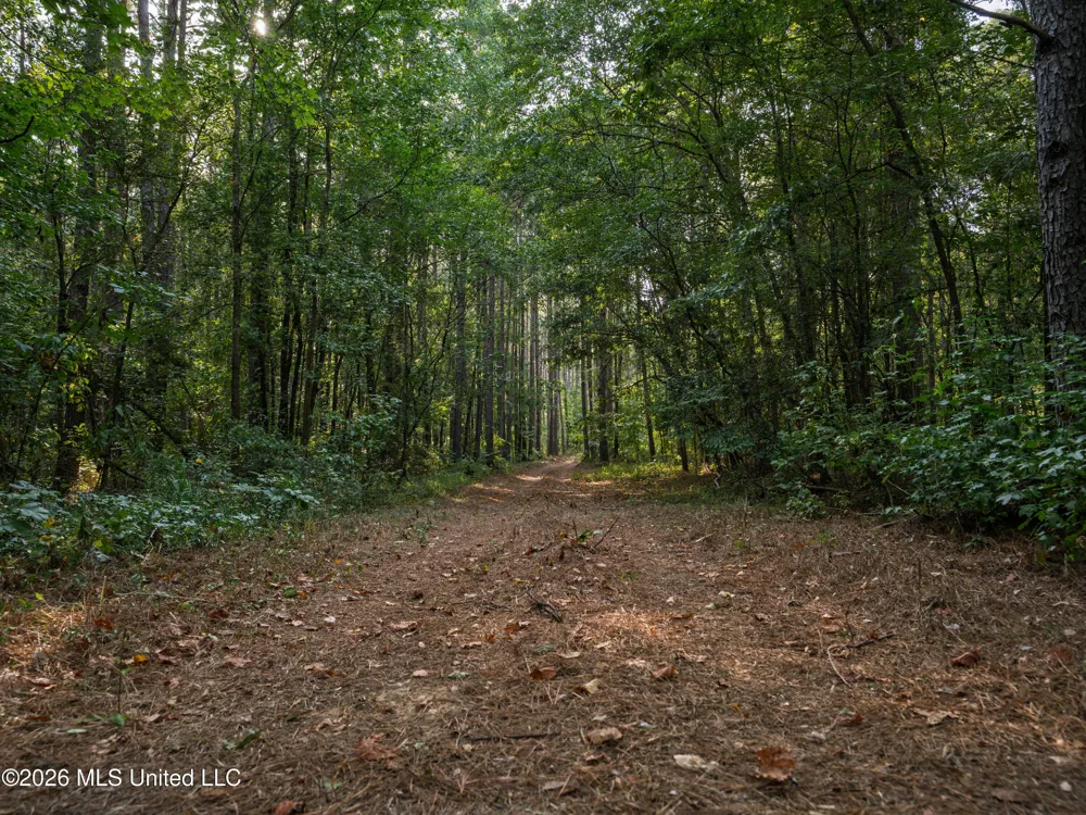 884 Truitt Road Pickens, MS 39146