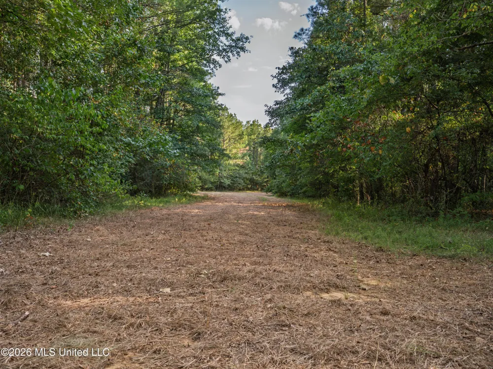 884 Truitt Road Pickens, MS 39146