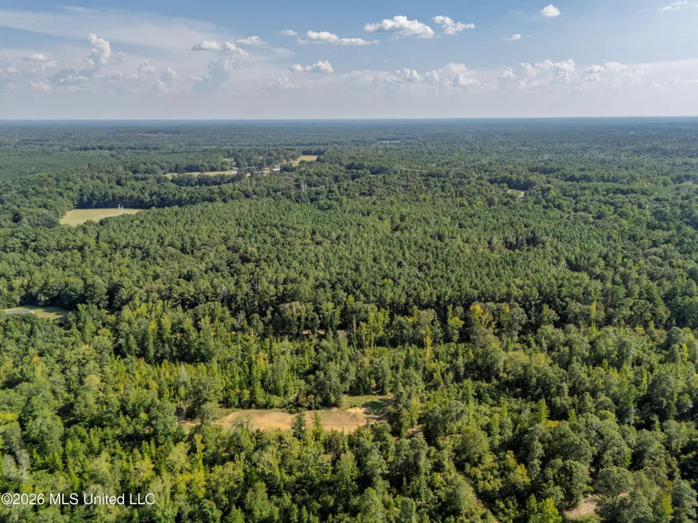 884 Truitt Road Pickens, MS 39146