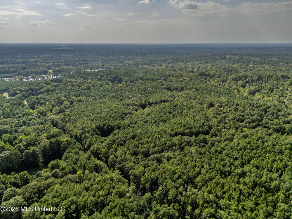 884 Truitt Road Pickens, MS 39146