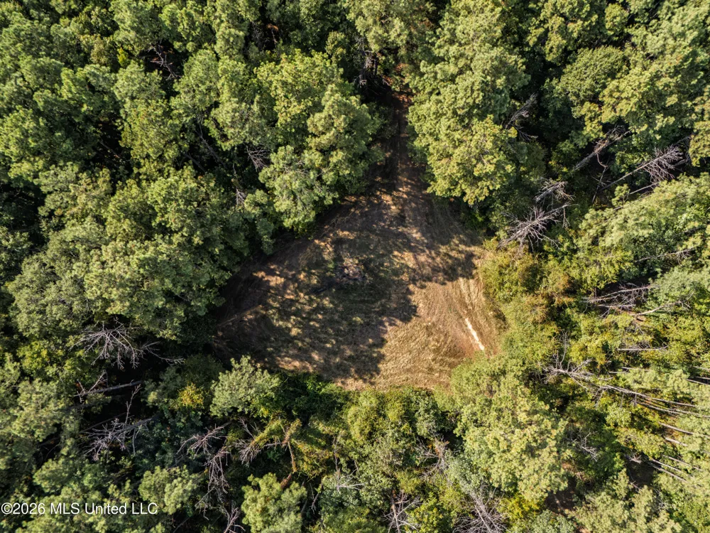 884 Truitt Road Pickens, MS 39146