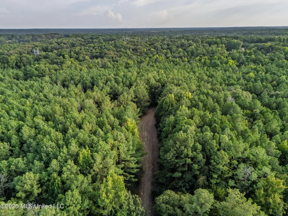 884 Truitt Road Pickens, MS 39146