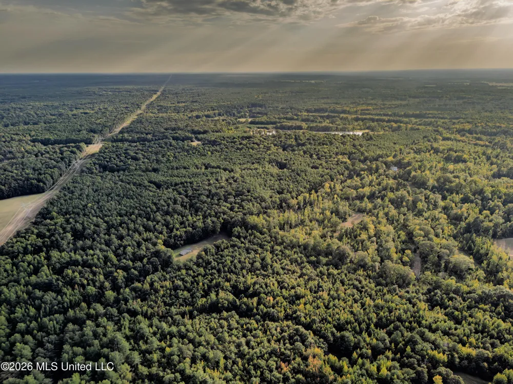 884 Truitt Road Pickens, MS 39146