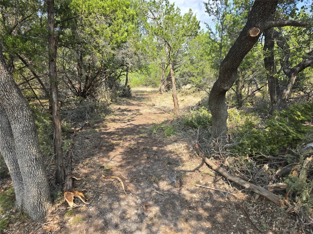 9933 Little Creek Circle Dripping Springs, TX 78620