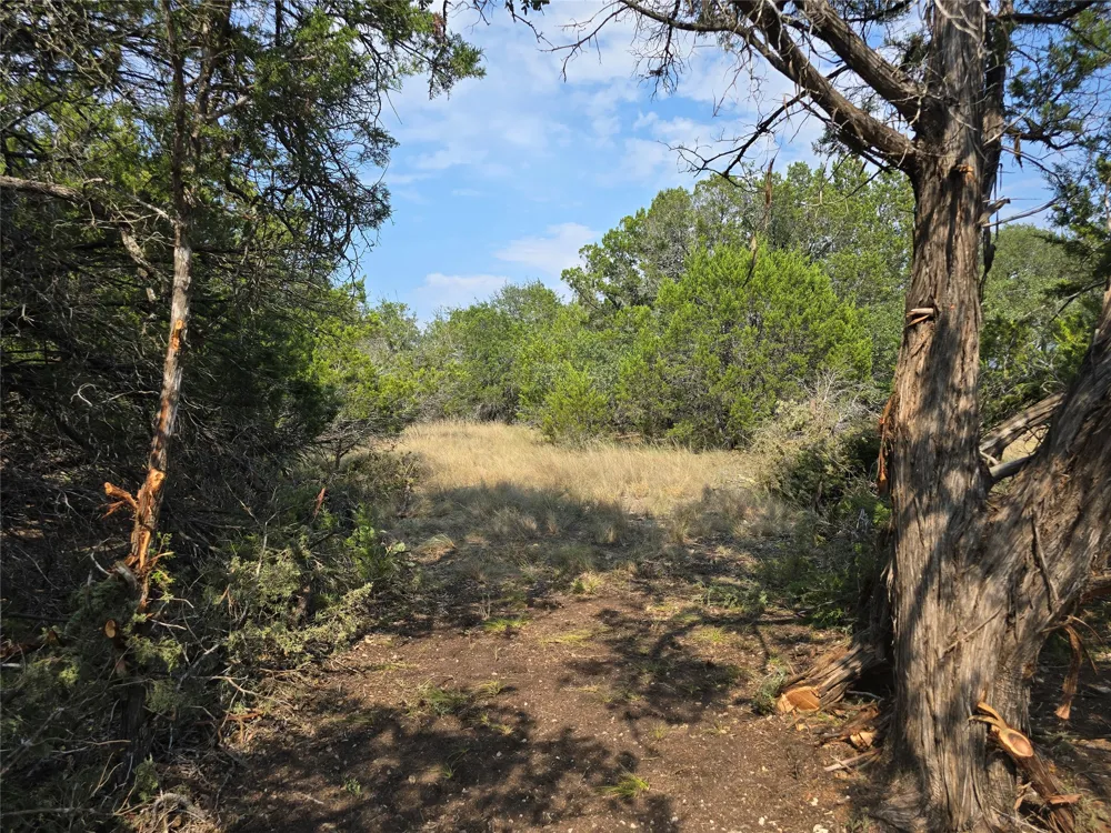9933 Little Creek Circle Dripping Springs, TX 78620