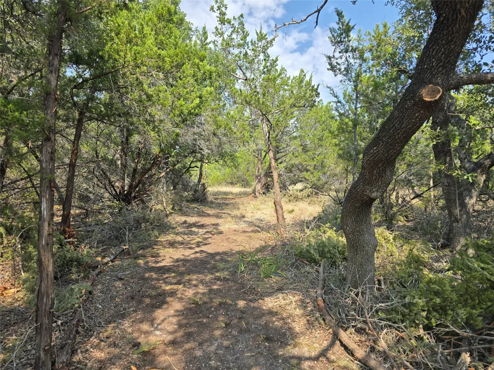 9931 Little Creek Circle Dripping Springs, TX 78620