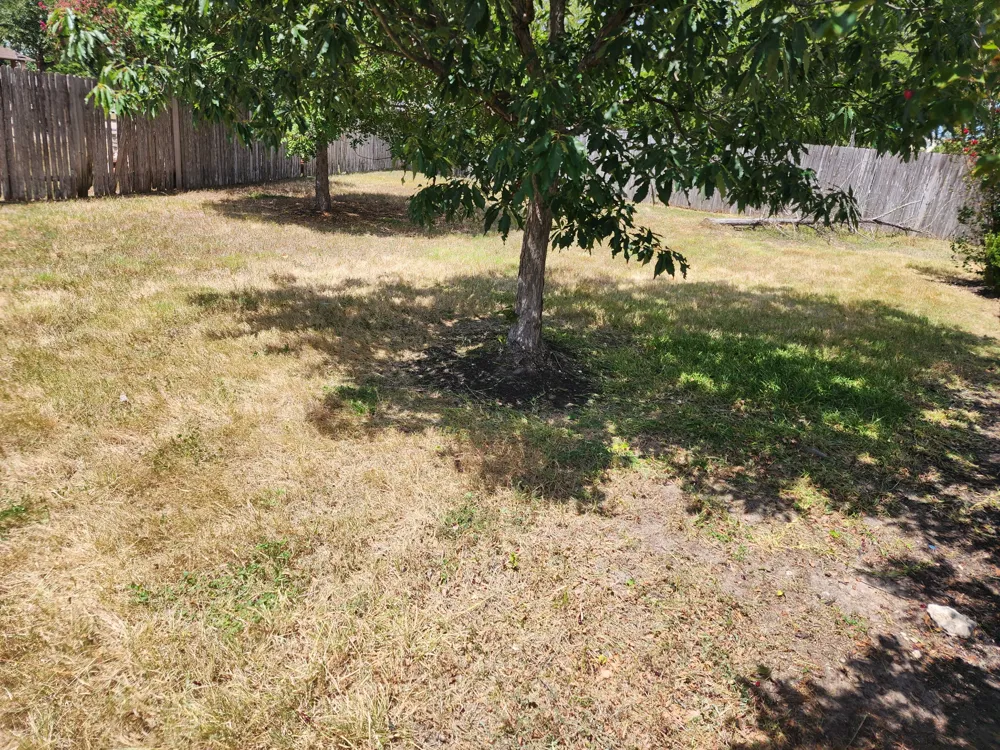 1107 Fox Sparrow Cove Pflugerville, TX 78660