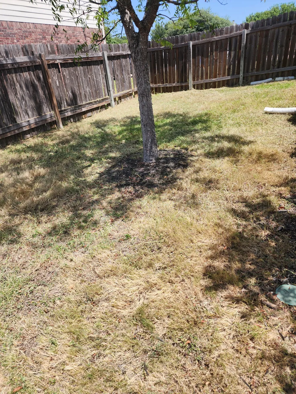 1107 Fox Sparrow Cove Pflugerville, TX 78660