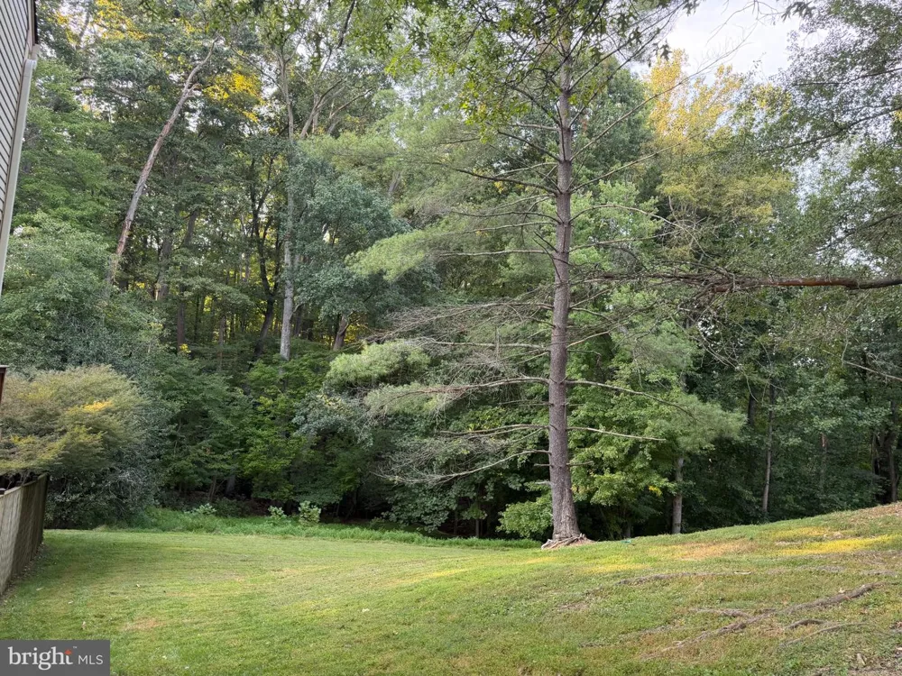 8110 CLIFFOREST DRIVE Springfield, VA 22153