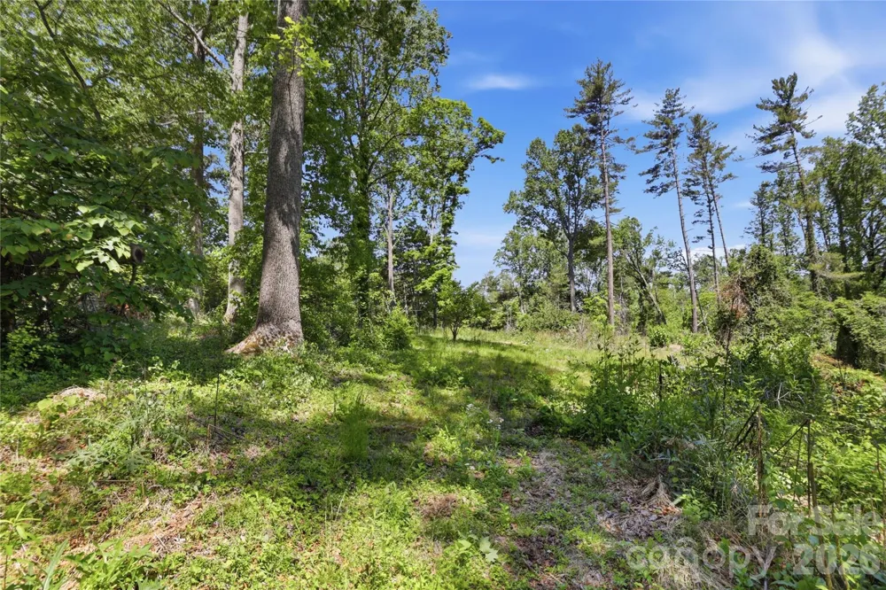 207 Wood Dale Drive Hendersonville, NC 28791
