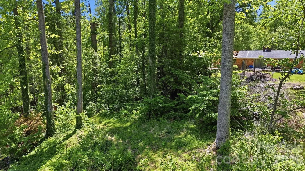 207 Wood Dale Drive Hendersonville, NC 28791