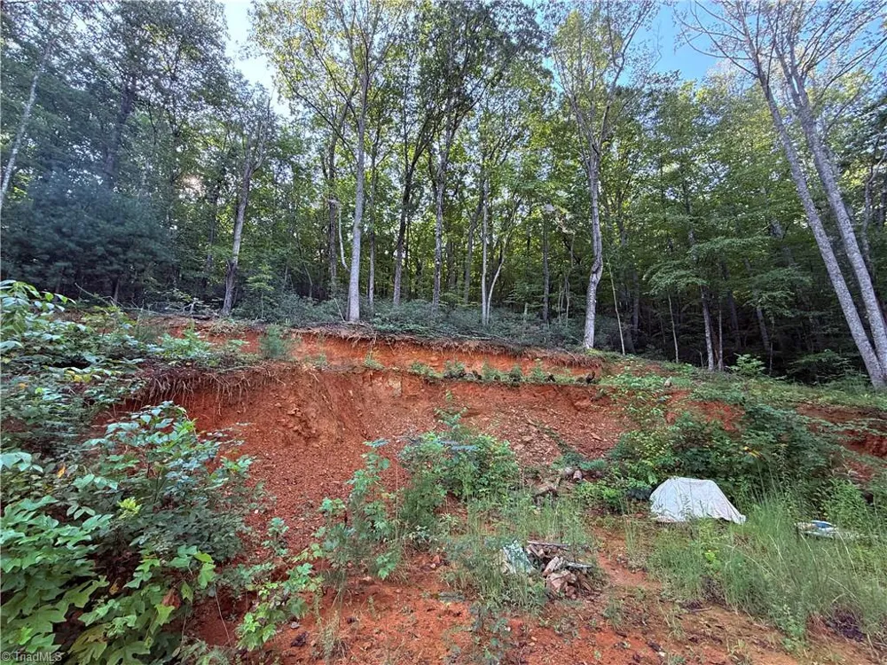 2828 E Pine Street Mount Airy, NC 27030