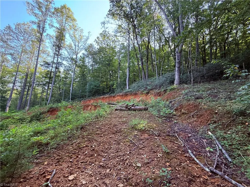 2828 E Pine Street Mount Airy, NC 27030
