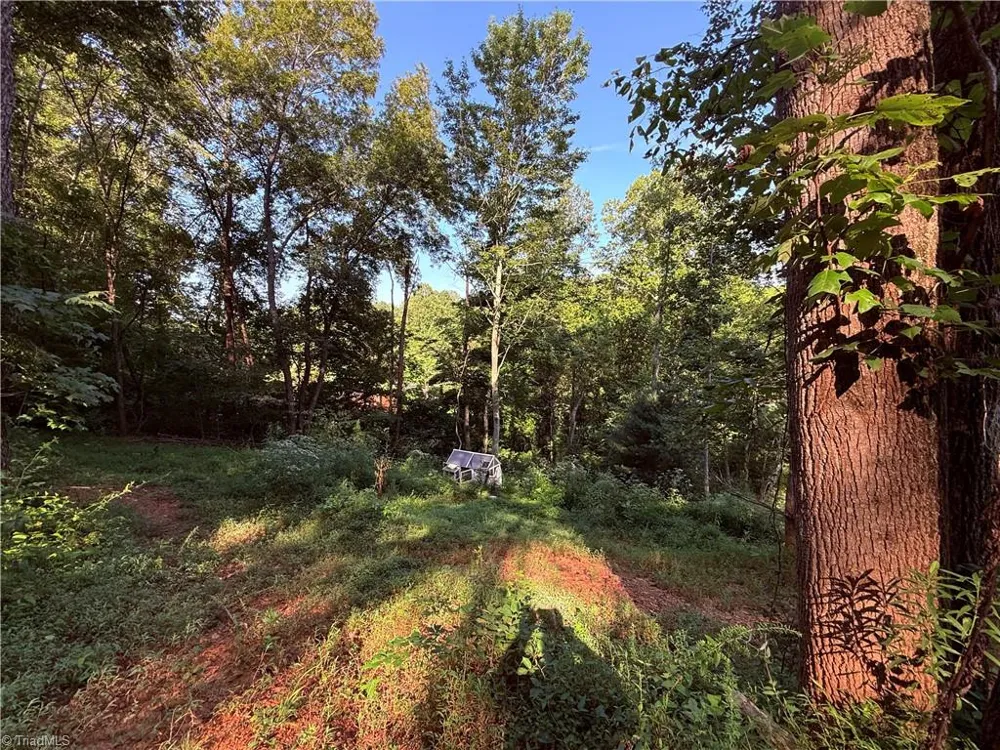 2828 E Pine Street Mount Airy, NC 27030