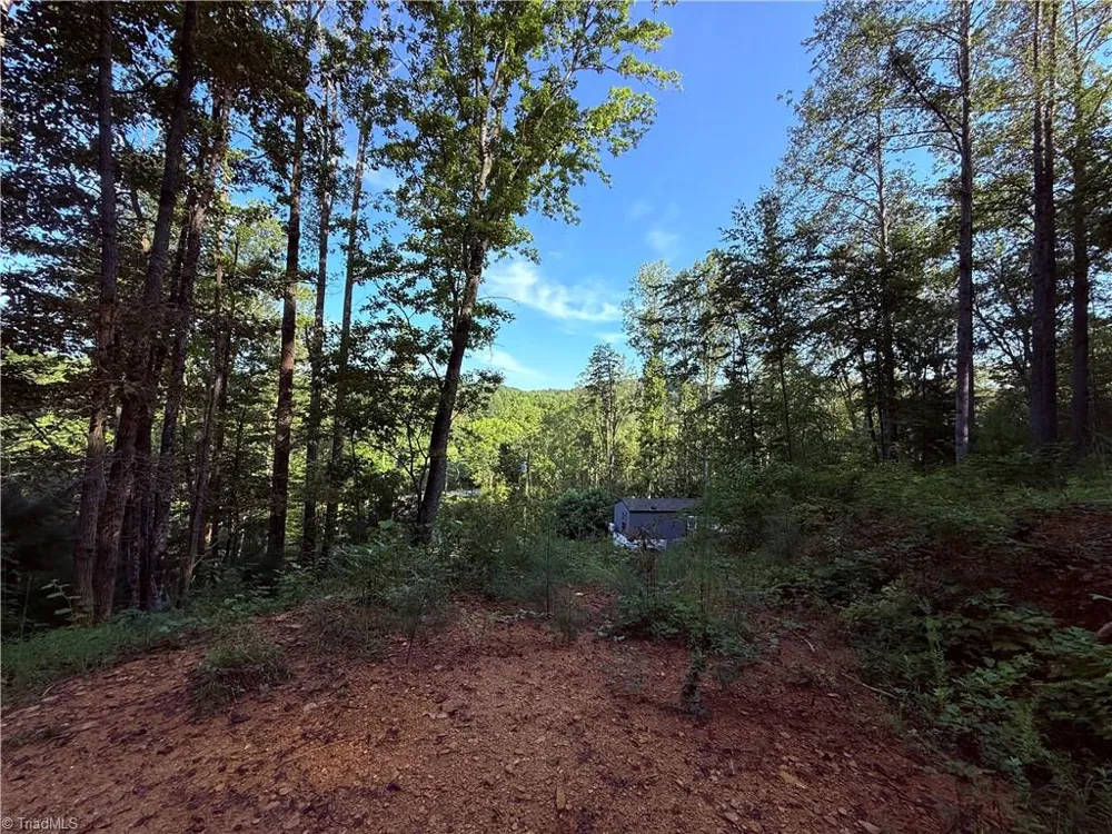 2828 E Pine Street Mount Airy, NC 27030