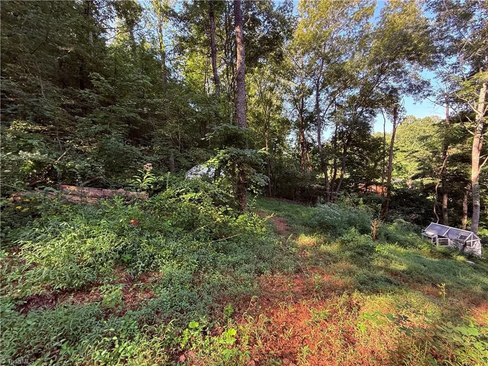2828 E Pine Street Mount Airy, NC 27030