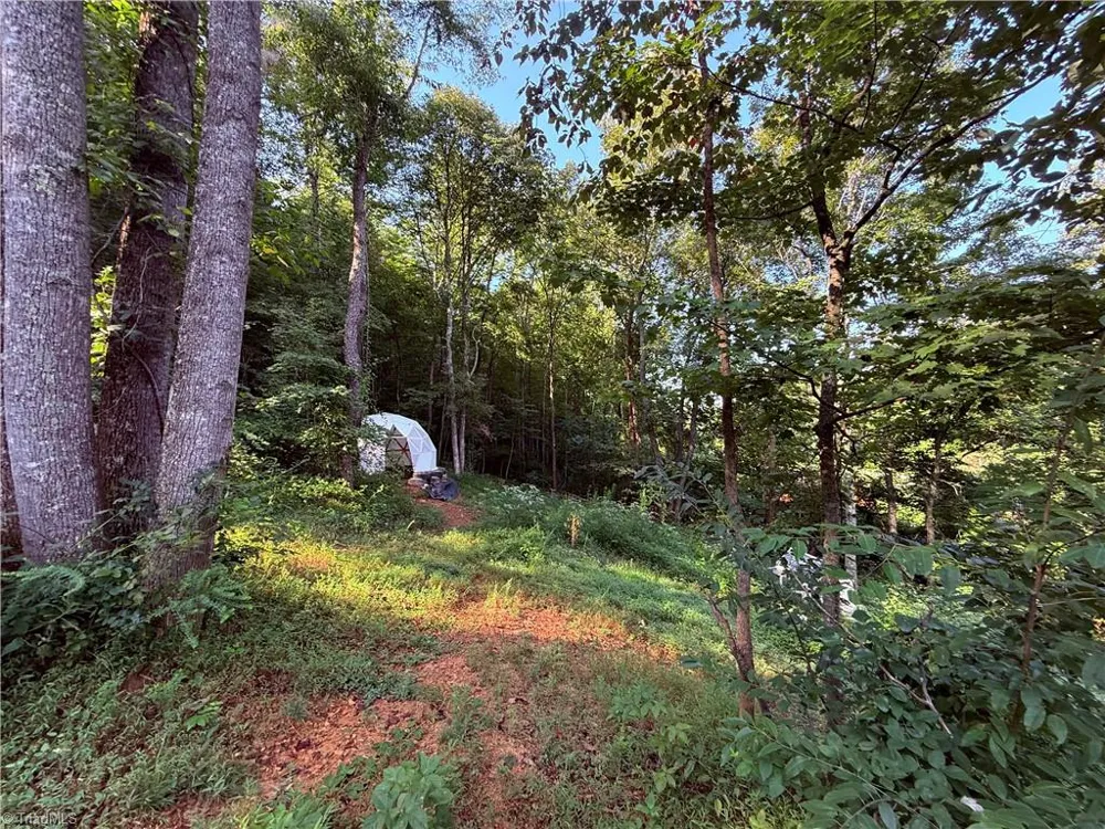 2828 E Pine Street Mount Airy, NC 27030
