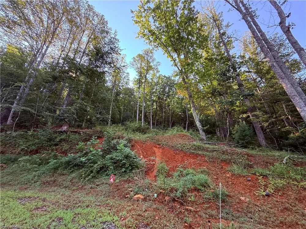 2828 E Pine Street Mount Airy, NC 27030