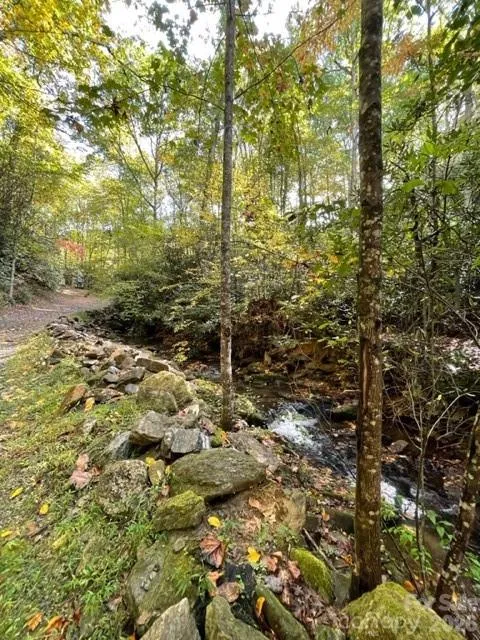 724 Blackgum Court ##350