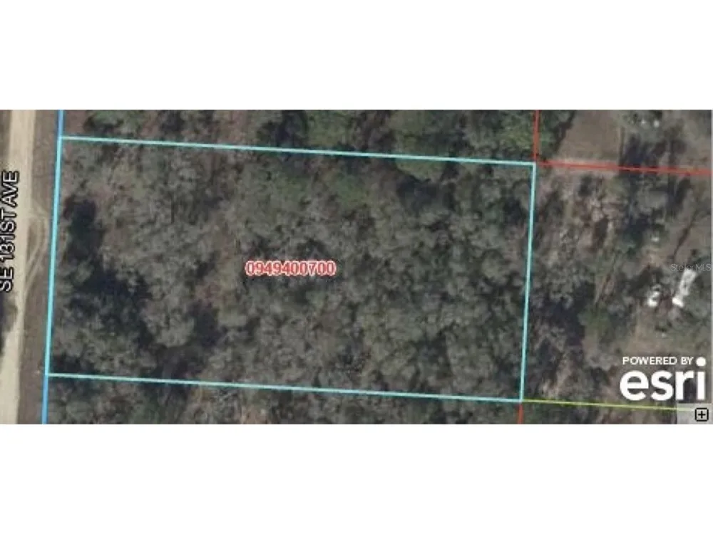 131 Morriston, FL 32668