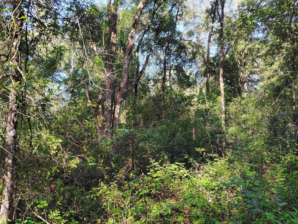 SW 158TH LANE Dunnellon, FL 34432