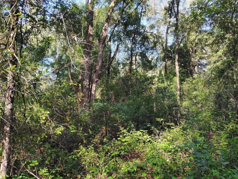 SW 158TH LANE