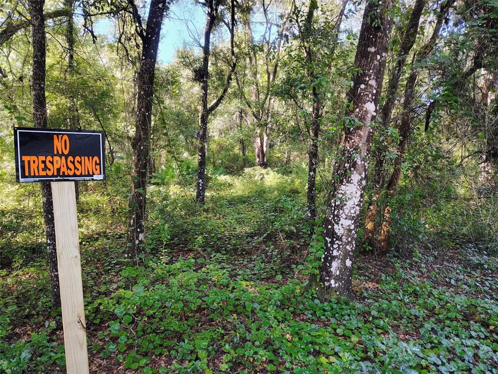 SW 158TH LANE Dunnellon, FL 34432