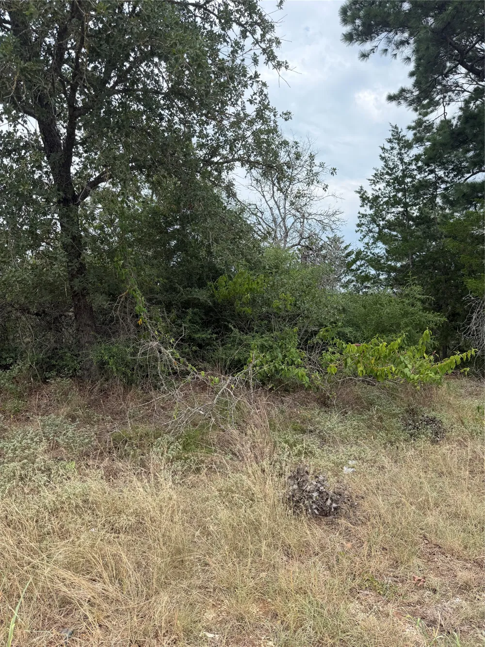 236 Kaelupulu Drive Bastrop, TX 78602