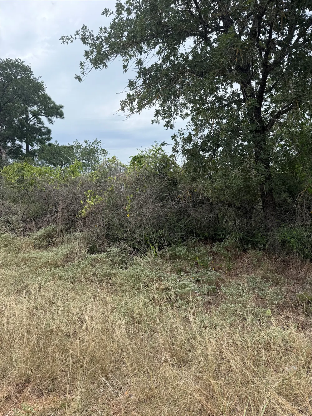 236 Kaelupulu Drive Bastrop, TX 78602
