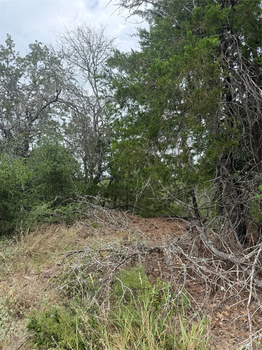 236 Kaelupulu Drive Bastrop, TX 78602