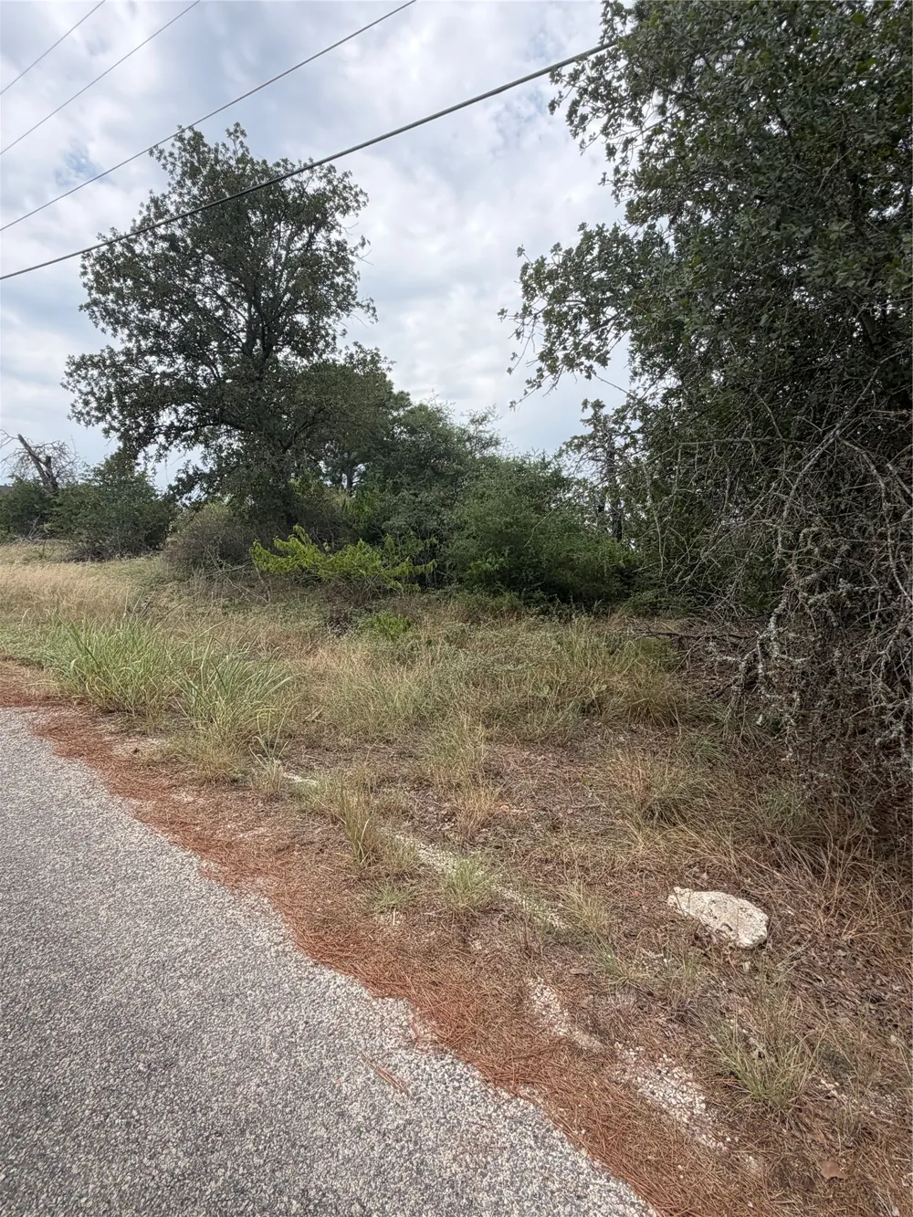 236 Kaelupulu Drive Bastrop, TX 78602
