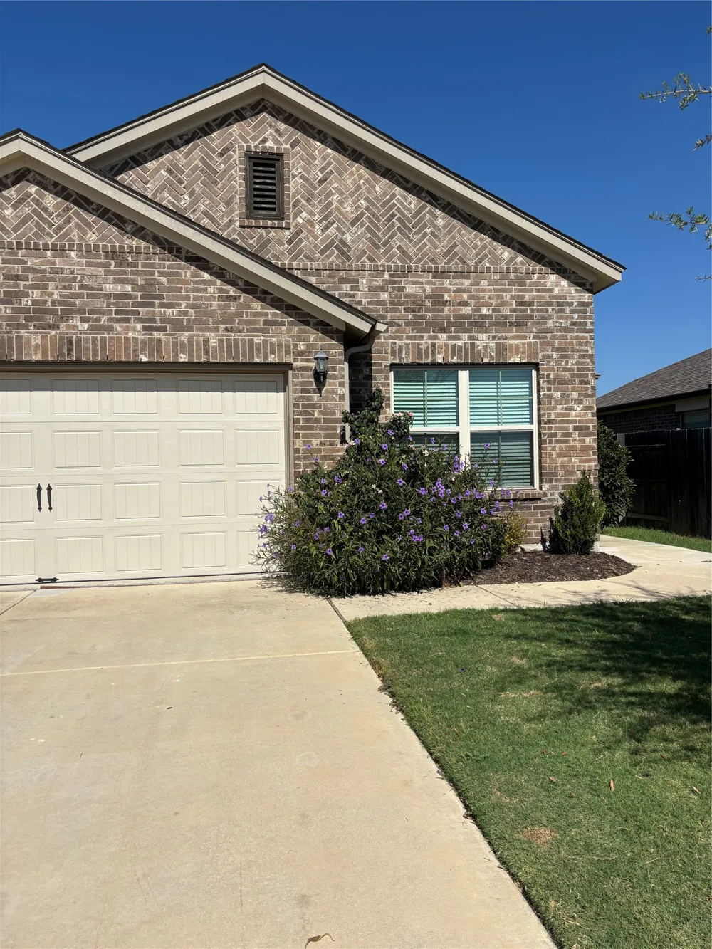 13608 Bullhorn Acacia Pass Manor, TX 78653