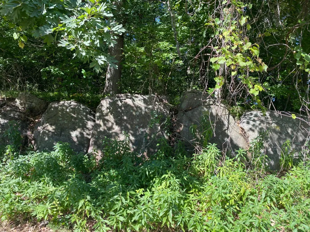 TBD 97th Street NW Zimmerman, MN 55330