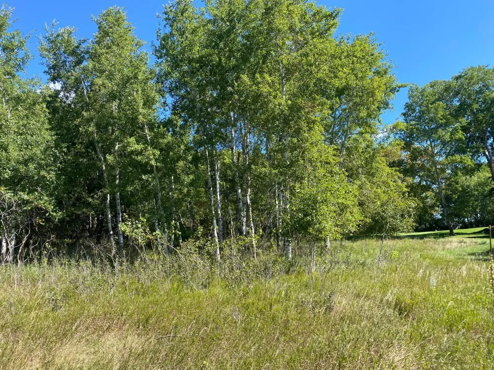 TBD 97th Street NW Zimmerman, MN 55330