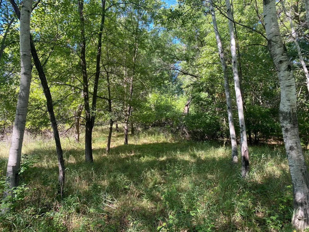 TBD 97th Street NW Zimmerman, MN 55330