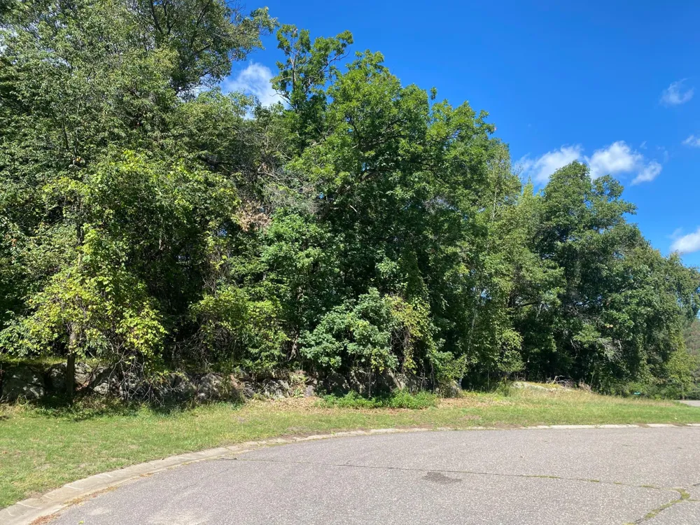 TBD 97th Street NW Zimmerman, MN 55330