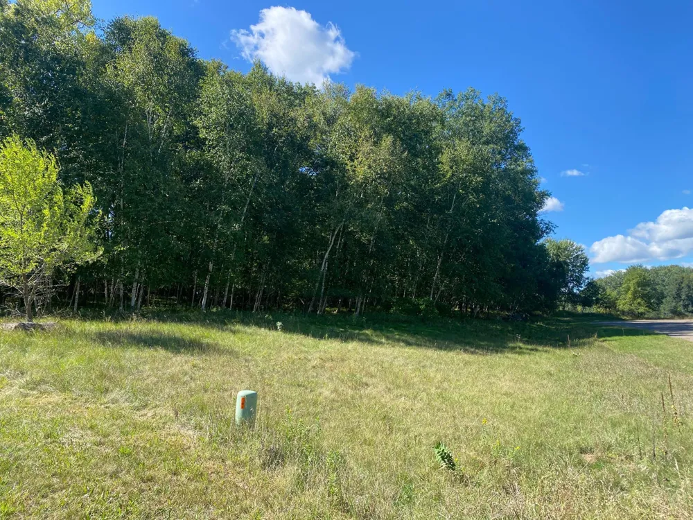 TBD 97th Street NW Zimmerman, MN 55330