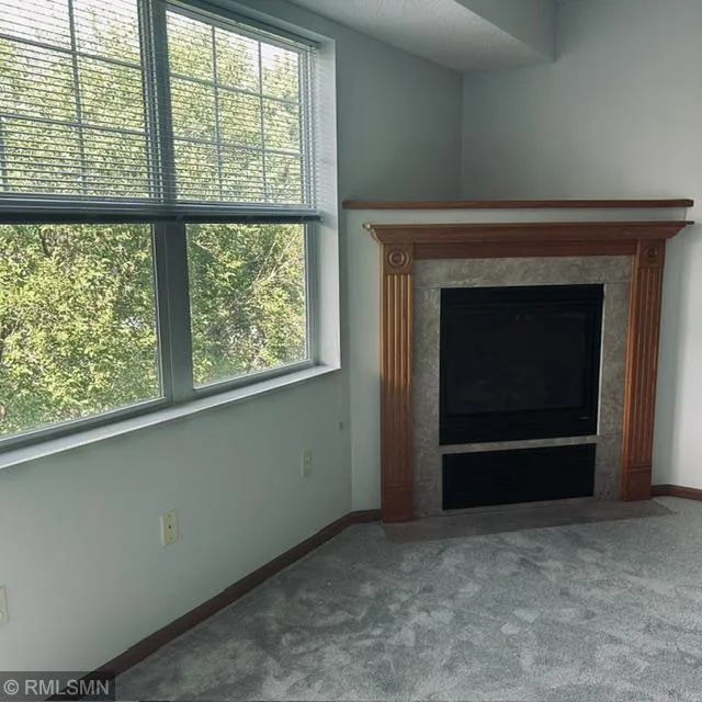 8341 Lyndale Avenue S #419 Bloomington, MN 55420