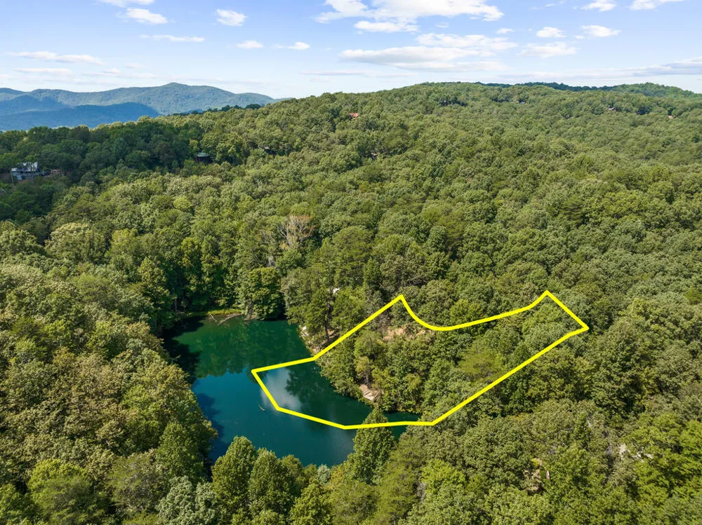 LT 44&45 Overlook Drive Cherry Log, GA 30522