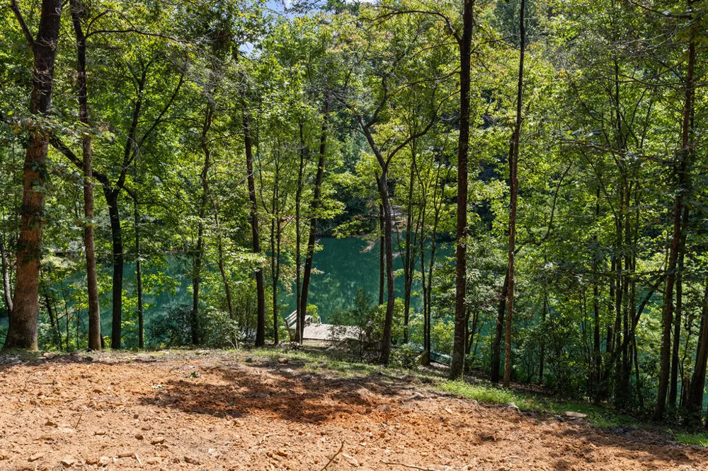 LT 44&45 Overlook Drive Cherry Log, GA 30522